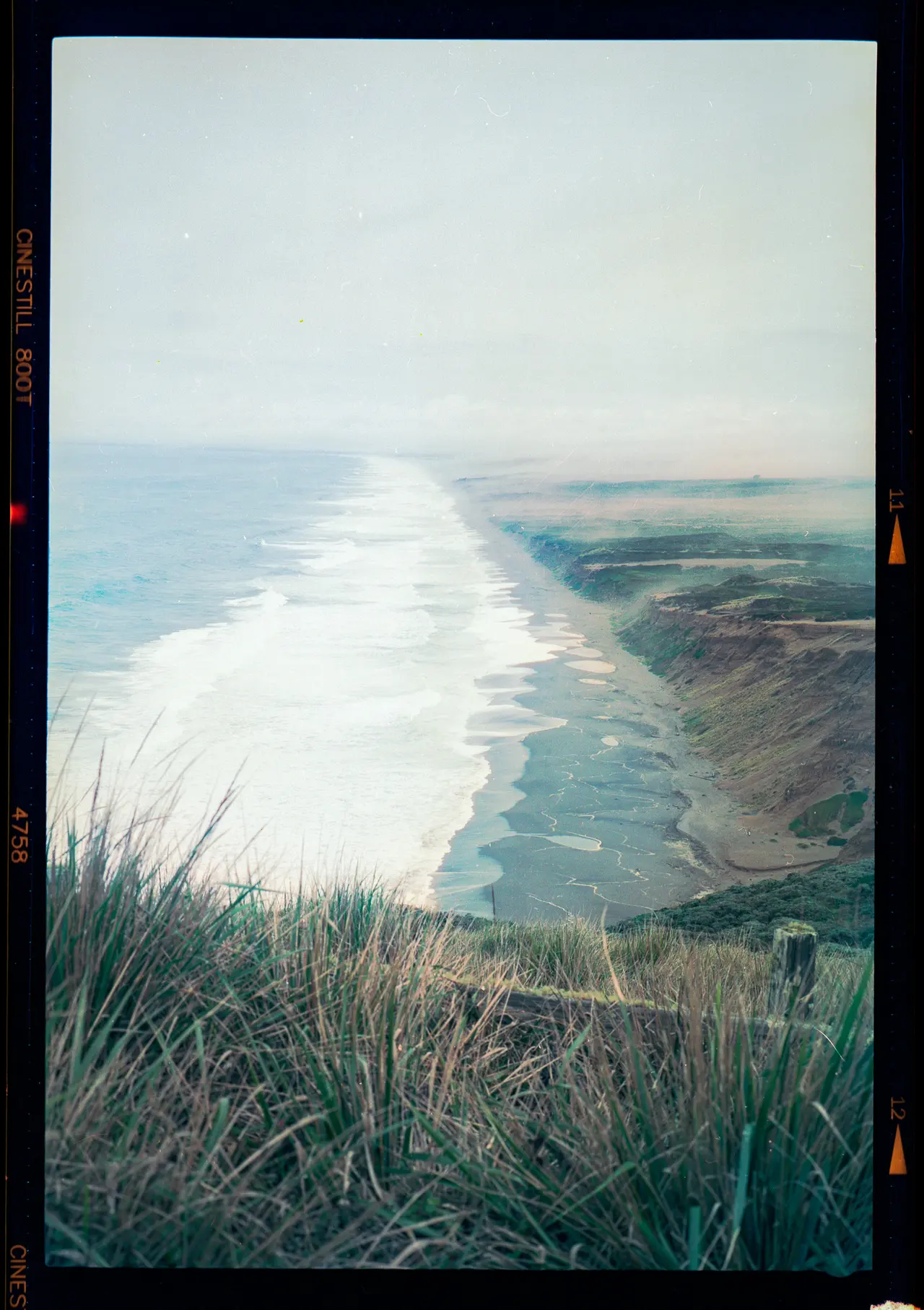 Long shoreline seen through coastal grass under flat grey light