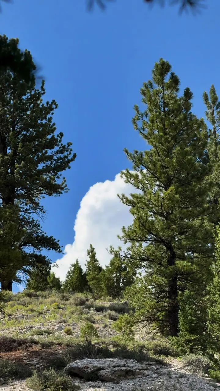Cover frame from a TikTok video posted 26 August 2026